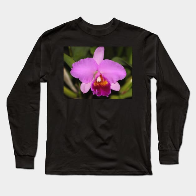 Cattleya Orchid Long Sleeve T-Shirt by Carole-Anne